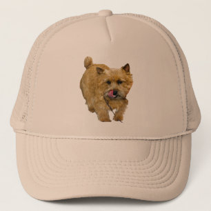 Gorra De Camionero Norwich Terrier
