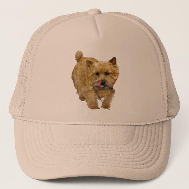 Gorra De Camionero Norwich Terrier (Anverso)