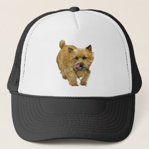 Gorra De Camionero Norwich Terrier