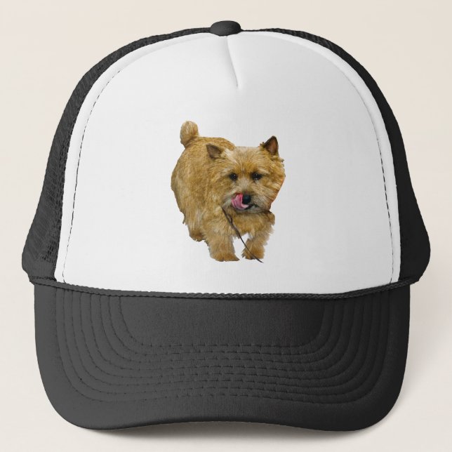 Gorra De Camionero Norwich Terrier (Anverso)