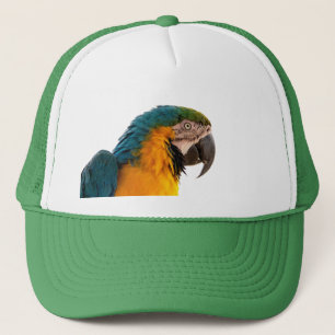 Gorra De Camionero Notas posteriores a Parrot