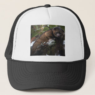 Gorra De Camionero Nuevo mamífero de Olinguito (neblina de