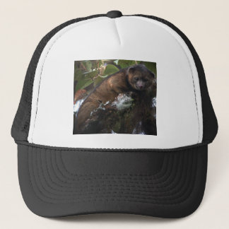 Gorra De Camionero Nuevo mamífero de Olinguito (neblina de