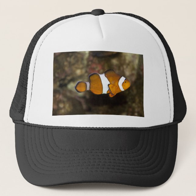 Gorra De Camionero Ocellaris Clowfish (Anverso)