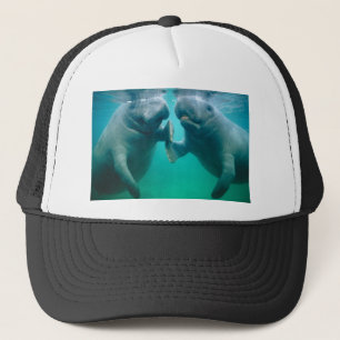 Gorra De Camionero odio del manatee