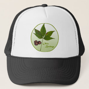 Gorra De Camionero Ohio Buckeye Tree