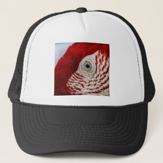Gorra De Camionero Ojo de loro