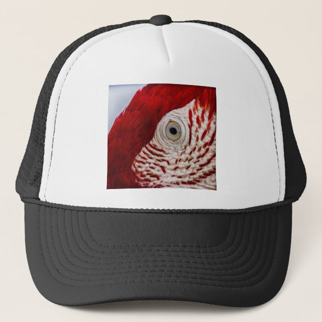Gorra De Camionero Ojo de loro (Anverso)