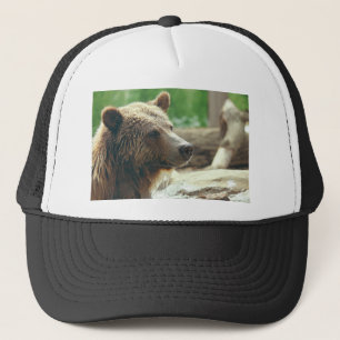 Gorra De Camionero Ojos animales de la cara del oso adorable lindo de