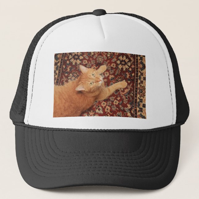 Gorra De Camionero Orange Tabby (Anverso)