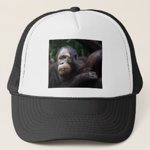 Gorra De Camionero Orangután