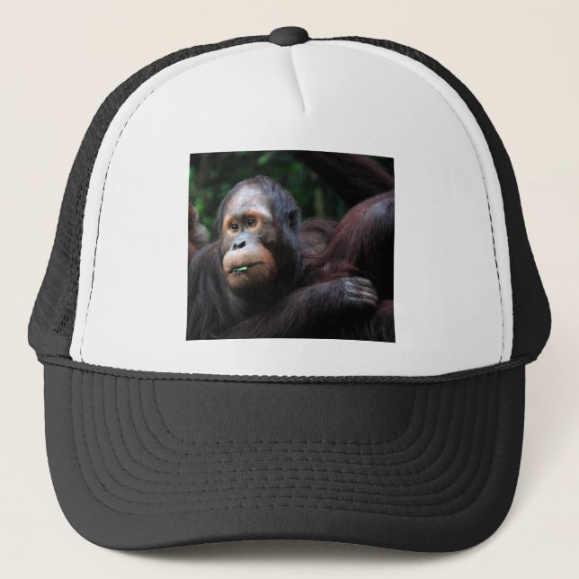 Gorra De Camionero Orangután (Anverso)