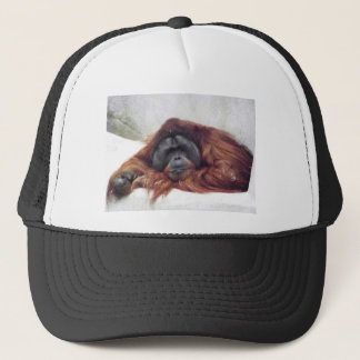 Gorra De Camionero Orangután