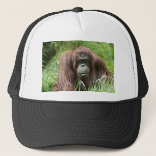 Gorra De Camionero Orangután