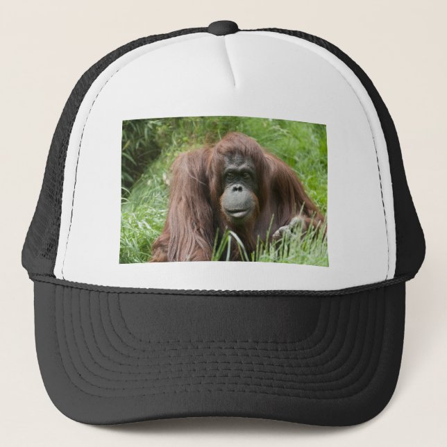 Gorra De Camionero Orangutan (Anverso)