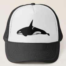 ORCA WHALE