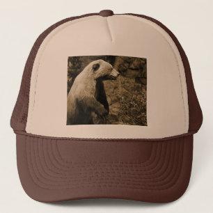 Gorra De Camionero Orgullo