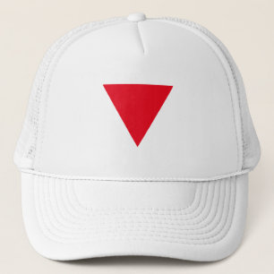Gorra De Camionero Orgullo queer de cuero