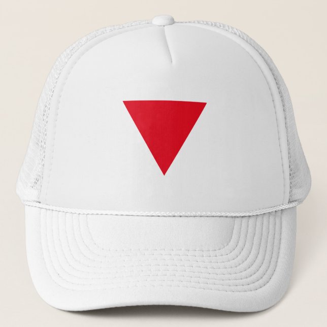 Gorra De Camionero Orgullo queer de cuero (Anverso)