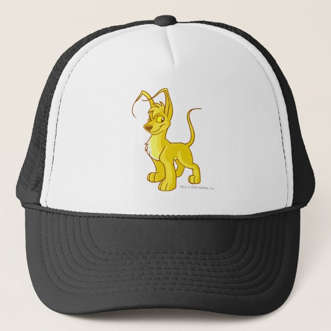 Gorra De Camionero Oro de Gelert (Anverso)