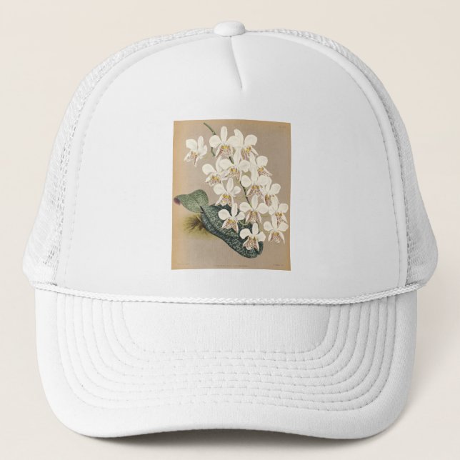 Gorra De Camionero Orquídeas (Anverso)