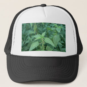 Gorra De Camionero Ortigas tacañas