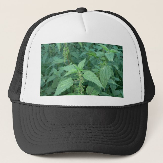 Gorra De Camionero Ortigas tacañas (Anverso)