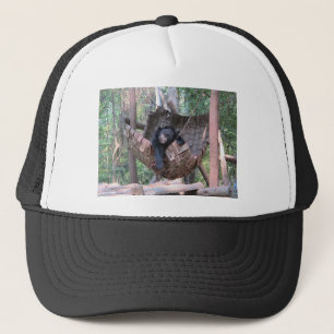 Gorra De Camionero Oso Dormilón Hamaca Parque Bosque Sendero Camping