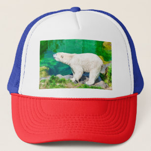 Gorra De Camionero Oso polar