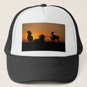 Gorra De Camionero Oveja Bighorn