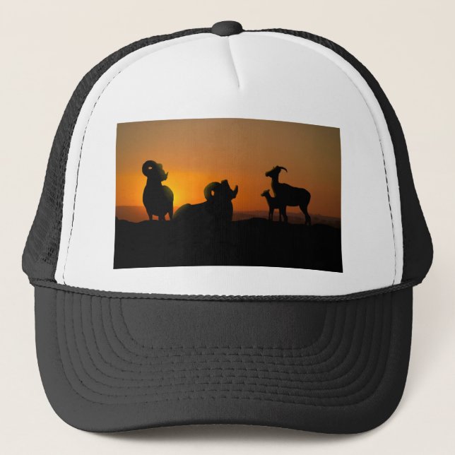 Gorra De Camionero Oveja Bighorn (Anverso)