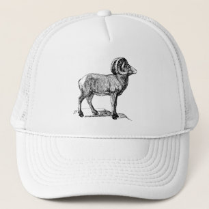 Gorra De Camionero Ovejas de Bighorn