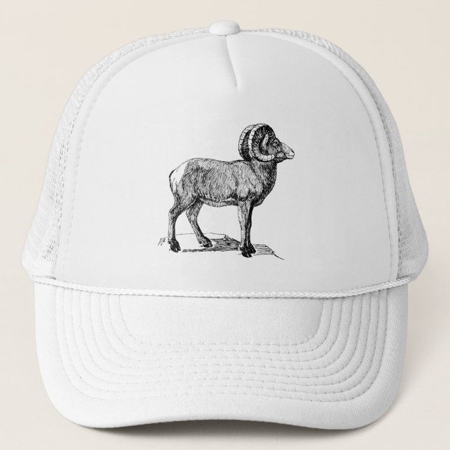 Gorra De Camionero Ovejas de Bighorn (Anverso)