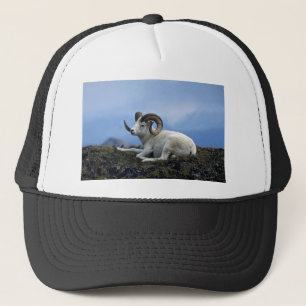 Gorra De Camionero Ovejas de grano (carnero grande tirado hacia abajo