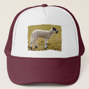 Gorra De Camionero Ovejas del bebé del cordero que balan blanco negr
