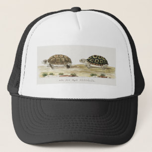 Gorra De Camionero Padloper Tortoise