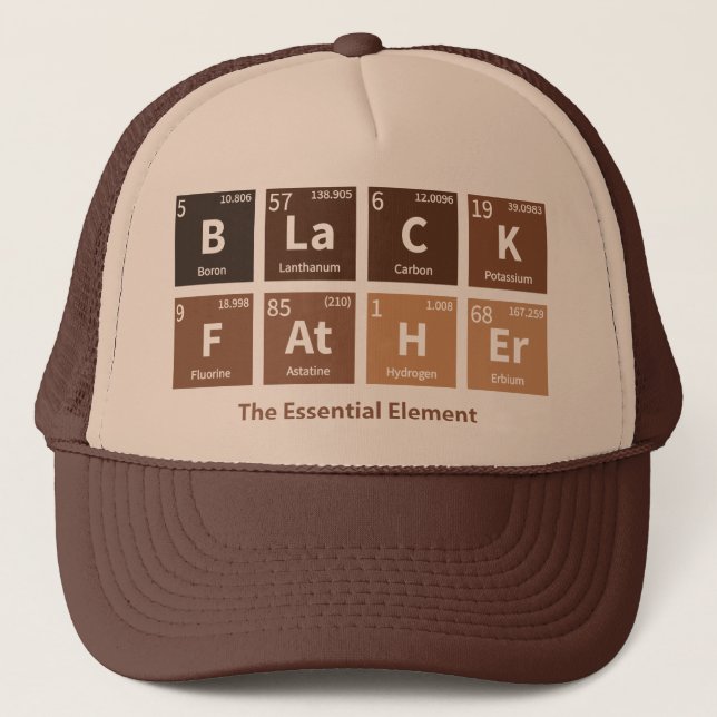 Gorra De Camionero Padre Negro El Elemento Esencial Pigmento Melanin (Anverso)