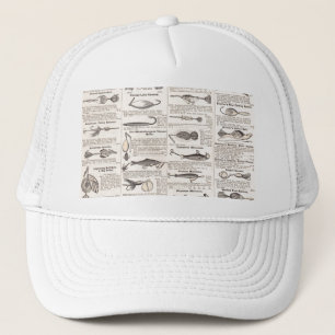 Gorra De Camionero Página de catálogo de señuelos de pesca antiguos I