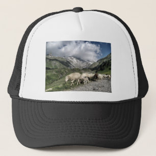 Gorra De Camionero paisaje pirénico