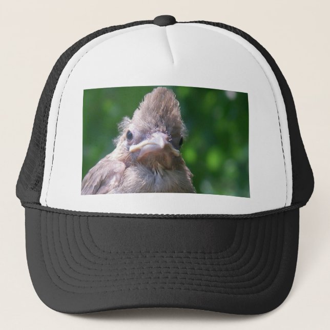 Gorra De Camionero pájaro de bebé enojado (Anverso)