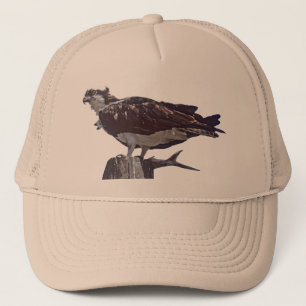 Gorra De Camionero Pájaro de Osprey
