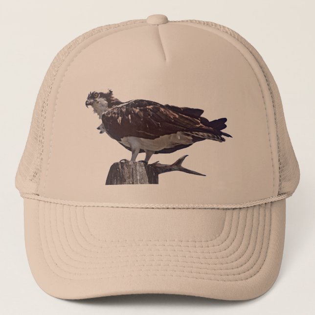 Gorra De Camionero Pájaro de Osprey (Anverso)