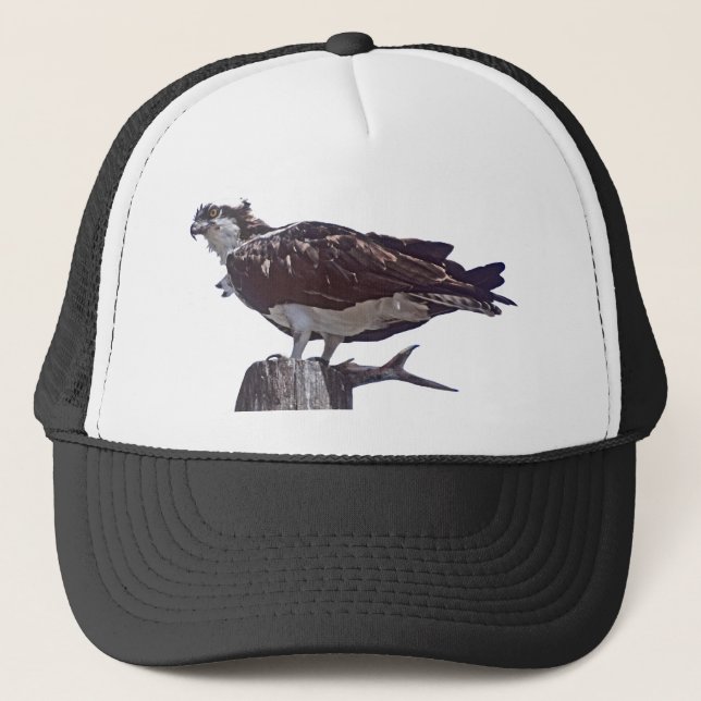 Gorra De Camionero Pájaro de Osprey (Anverso)