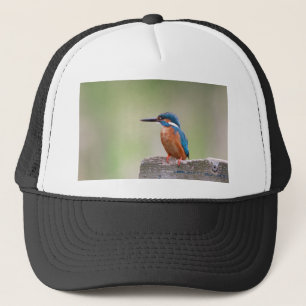 Gorra De Camionero Pájaro pescador.