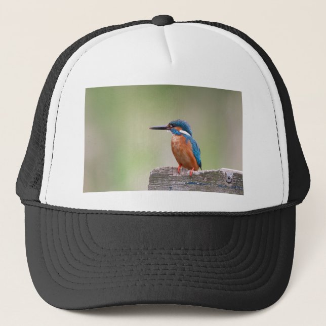 Gorra De Camionero Pájaro pescador. (Anverso)