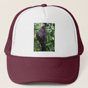 Gorra De Camionero Pájaro Red Tail Hawk