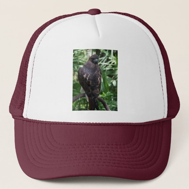 Gorra De Camionero Pájaro Red Tail Hawk (Anverso)