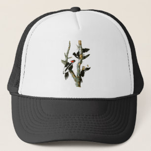 Gorra De Camionero pájaros Marfil-cargados en cuenta de Audubon de la
