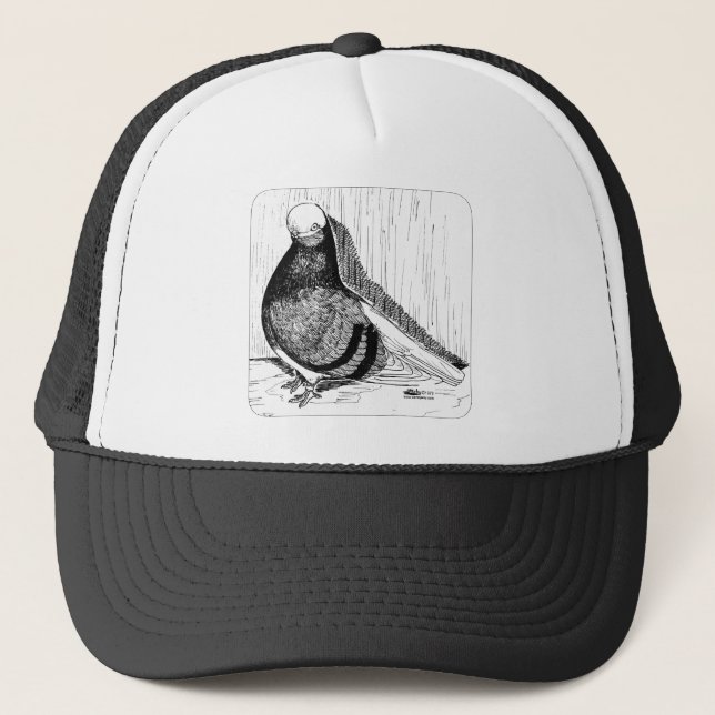 Gorra De Camionero Paloma calva anglófona 1978 (Anverso)