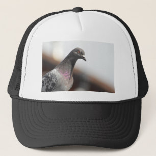 Gorra De Camionero Paloma de Carreras